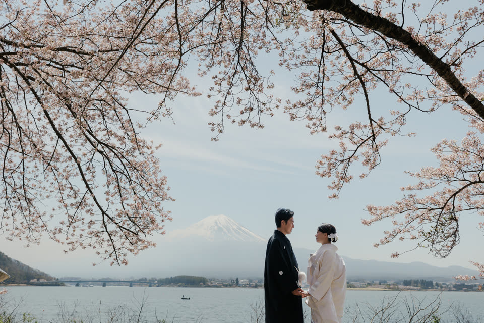 Couple in formal kimono beneath cherry blossoms with Mount Fuji across Lake Kawaguchi