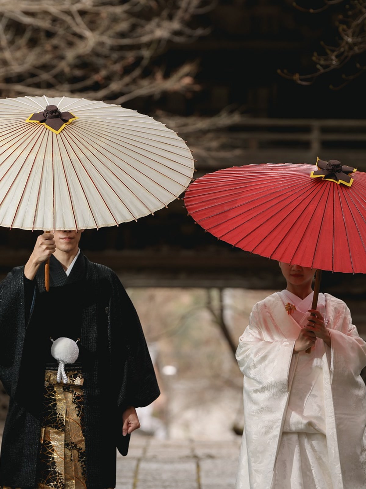 Couple in black montsuki and shiromuku kimono with paper umbrellas on a shrine approach